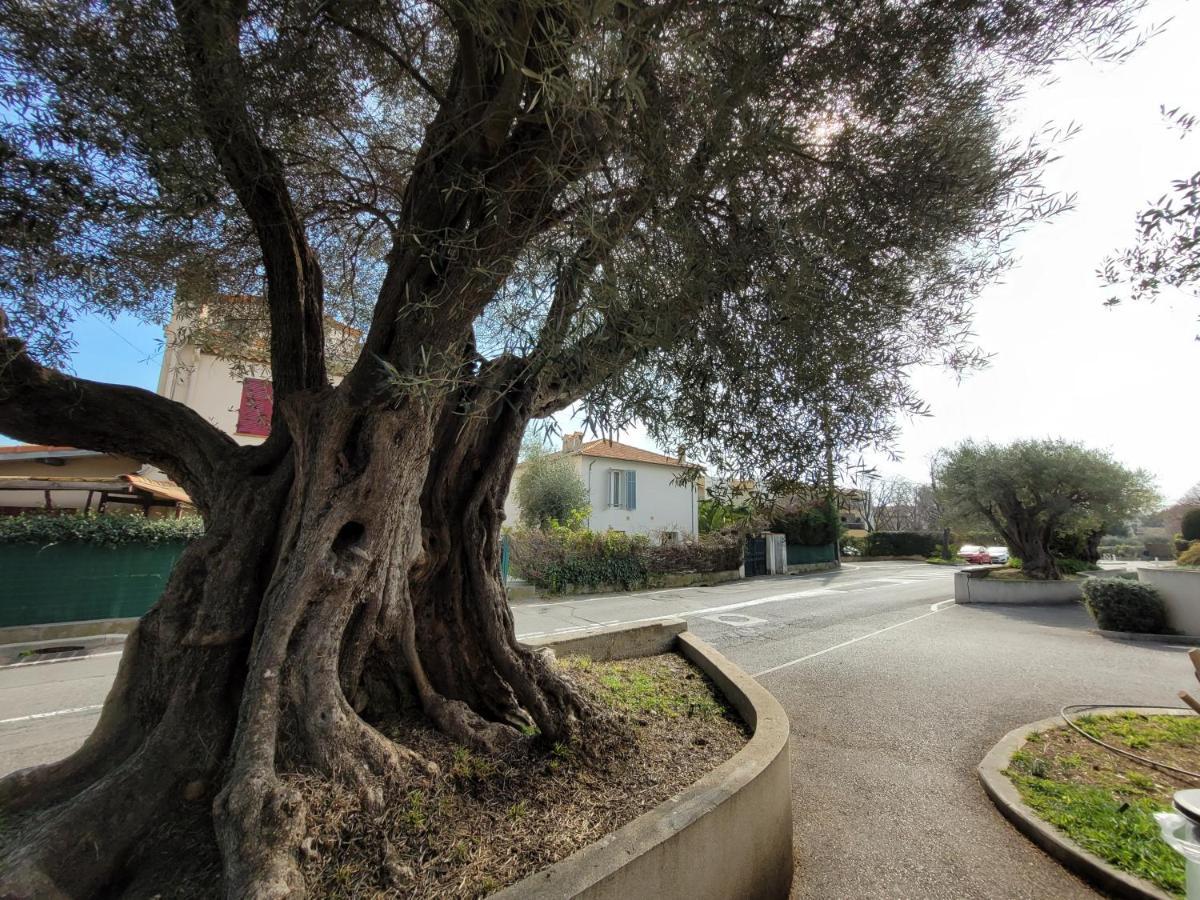 Villa la Désirée - haut de villa,62m2 , 3 pièces , 6 lits, 8 persons max,120m2 Jardin avec parking Antibes Exterior foto